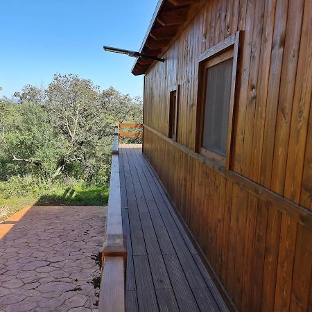 Villa La Casa De Madera La Puebla de los Infantes Esterno foto